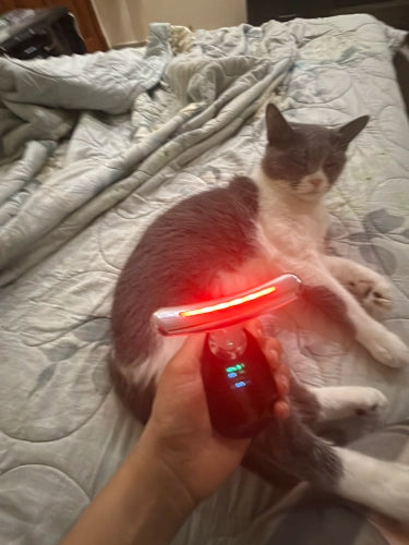 💆‍♀️ Beauty Nova™ Skin Tightening Tool 🌸 - Anti-Aging & Wrinkle Reducer 💎 LED Device – 12.12 Mega Sale 🎉 + Free Gift! 🎁